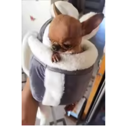 Mochila para mascotas